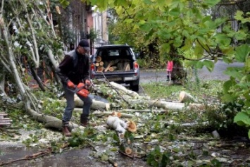 Какова будет в Черноморске судьба деревьев, пострадавших от урагана (фото)