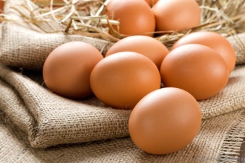 Ученые: 1 куриное яйцо в день снижает риск рака молочных желез