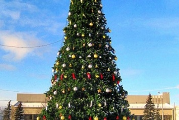 Бердянскому городскому бюджету новогодняя елка обойдется в 330 тысяч