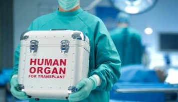 В Канаде изучают отчет о торговле человеческими органами в Китае