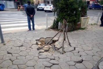 В центре Одессы провал на тротуаре обозначили ветками (ФОТО)
