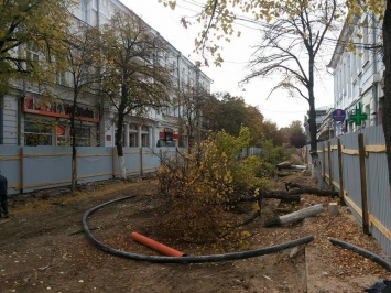 В центре Симферополя массово пилят деревья: Жители столицы Крыма возмущены
