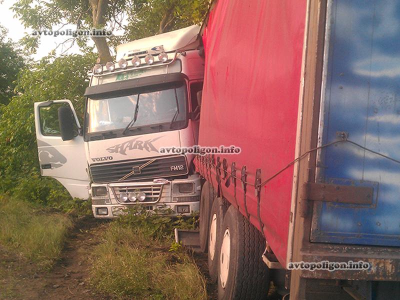 ДТП на Николаевщине: грузовик Volvo вылетел с дороги и застрял между деревьями. ФОТО