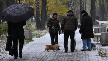 В Москве на выходных ожидается метель