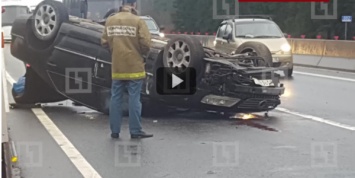 Авария в Ленинградской области заблокировала движение по Московскому шоссе