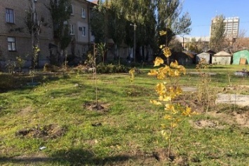 В Бердянске на один сквер стало больше