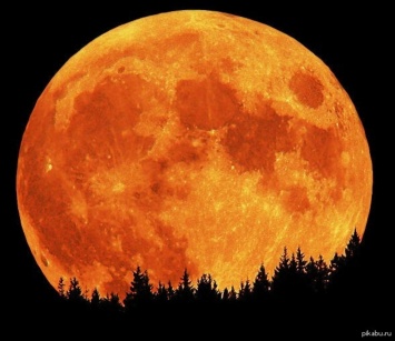 Жители Москвы в ноябре увидят звездопад и огромную Луну