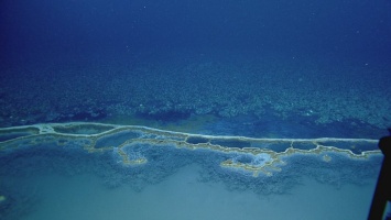 Ученые нашли «Мертвое озеро» на дне Мексиканского залива