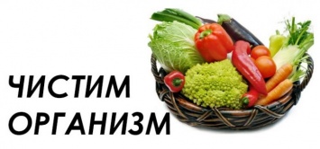 Продукты, которые очищают организм от токсинов. Все звезды их едят!