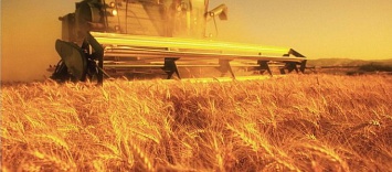 Преодолеть блокаду: ДНР экстренно восстановливает сельское хозяйство