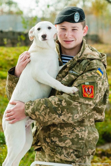 Николаевские волонтеры запустили флешмоб и социальную акцию «Моя собака без породы»