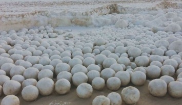 На пляже обнаружили природные снежки, размером с баскетбольные мячи