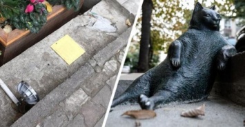 В Стамбуле похитили памятник коту, который стал героем интернет-мемов