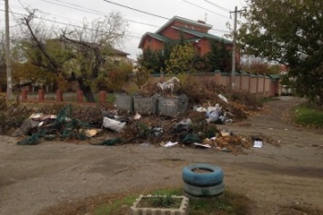 Улицы в Одессе уже месяц после урагана засыпаны мусором (ФОТО)