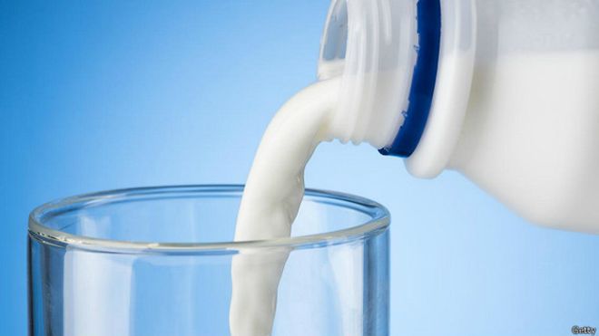 Как молоко прокралось в наш ежедневный рацион