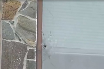 На Киевщине "свободовец" обстрелял дом депутата от "Оппоблока" - СМИ