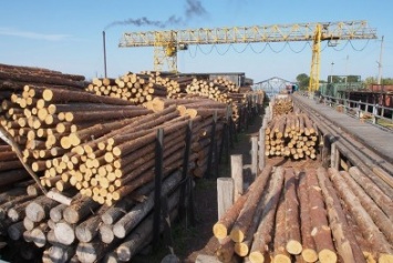 Сумская ресурсная биржа будет отстаивать интересы местных деревообработчиков