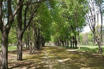 Победа» - не сегодня. Границы для создания парка в Кропивницком еще не определены