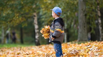 Выходные в Киеве: куда пойти 12-13 ноября (афиша)