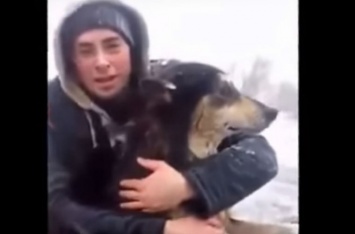 Дорожные рабочие под Псковом спасли провалившегося под лед пса