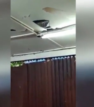 В Гонконге змея с потолка упала на столик в кафе