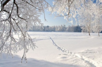 Синоптик рассказала, какой будет в Украине эта зима