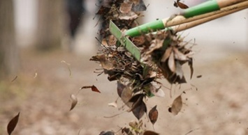 Хоть трава не расти: сумские коммунальщики «доблестно» сгребают опавшую листву (+фото)