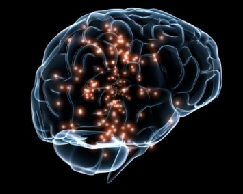 Ученые разработали способ создать "отпечаток" мозга