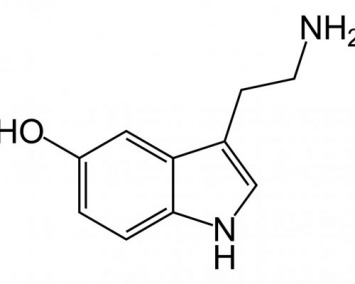 Ученые: Серотонин способен привести к импульсивной агрессии