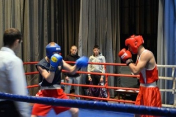 В Доброполье стартовал VI Всеукраинский турнир по боксу