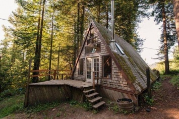 Этот маленький домик похож на крышу посреди леса. Но не стоит спешить с выводами!