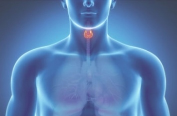 Как распознать проблемы с щитовидкой: тревожные симптомы