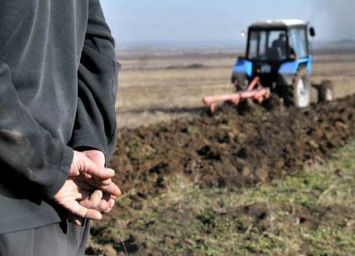 В Украине отмечают День работников сельского хозяйства