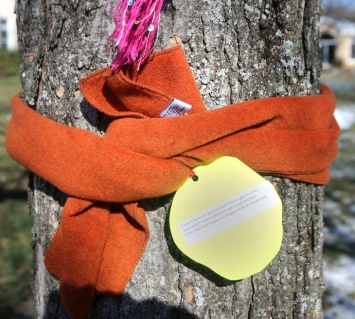 Если вы увидели шарф на дереве, не спешите искать его владельца! Вот что это значит