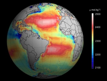 Подкисление мирового океана приведет к глобальной катастрофе