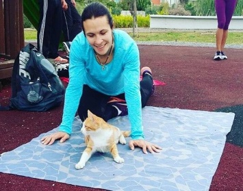 Олесе Повх помогает тренироваться турецкий кот