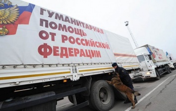 Украинские пограничники рассказали, что перевозит "гумконвой" РФ