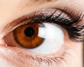Ученые: Пересадка глаза может быть проведена в ближайшие десять лет