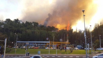 Пожар в Хайфе локализован, но есть риски новых возгораний