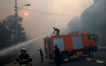 Пожары в Израиле: полиция задержала 12 подозреваемых в поджогах