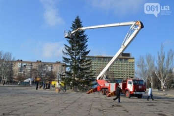 В этом году на площади Фестивальной снова установят живую елку