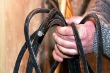 В Кропивницком наряд полиции охраны поймал вора кабеля