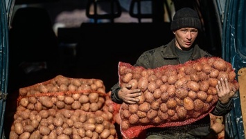 В Крыму перед Новым годом проведут еще одну большую сельхозярмарку