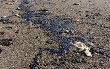 В Крыму сообщили о загрязнении побережья Судака мазутом