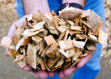 В Красноярске создана установка для получения биопродукции из отходов древесины