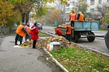 В городском совете Кропивницкого рассмотрели проблему вывоза опавших листьев