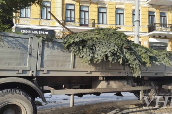 В Киеве начались подготовительные работы к установке главной елки страны