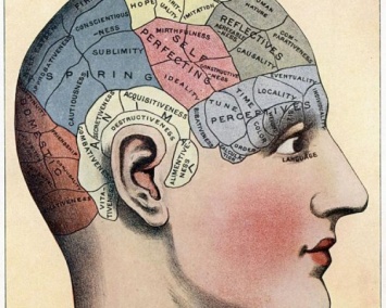 Ученые нашли новый вид памяти в мозге человека