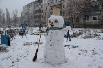 В Павлограде рады снегу зверь и птица и, конечно, человек