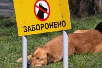 В Кривом Роге безответственных владельцев собак наказывают гривной
